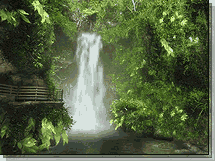 Waterfall In Forest.gif